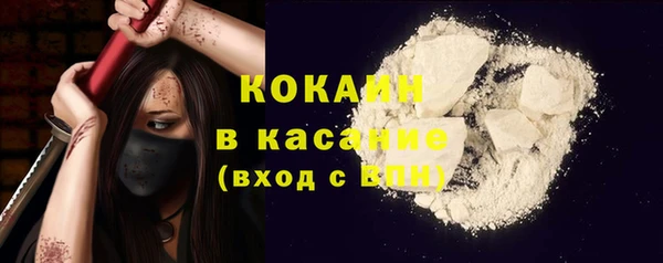прущие грибы Абаза