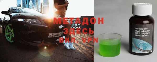 прущие грибы Абаза