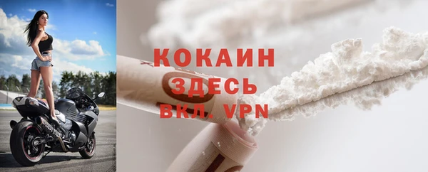 прущие грибы Абаза
