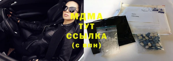 прущие грибы Абаза