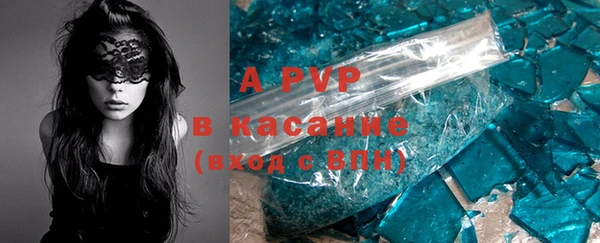 прущие грибы Абаза